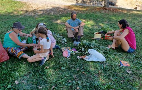 Atelier bouturage