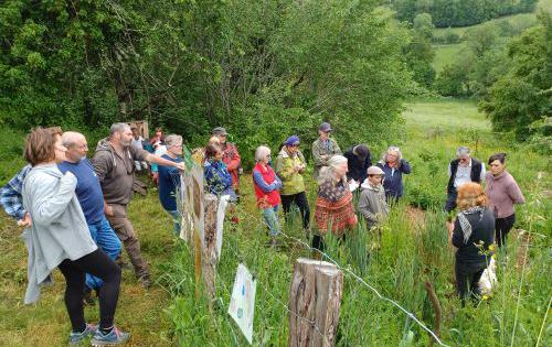 un public attentif devant l'exposé de l'ethnobotaniste C. Boyer